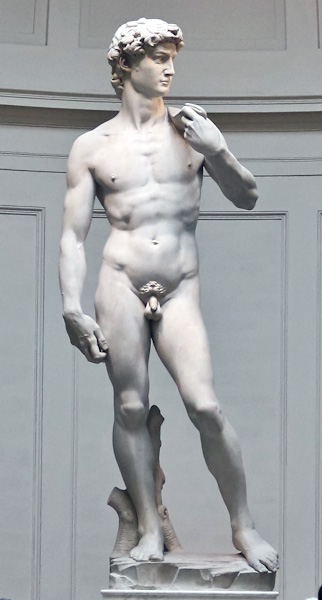 Image result for statue of david